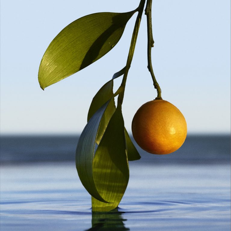 Hugo | Boss | infinite | EDP | Parfum | MADO Réunion