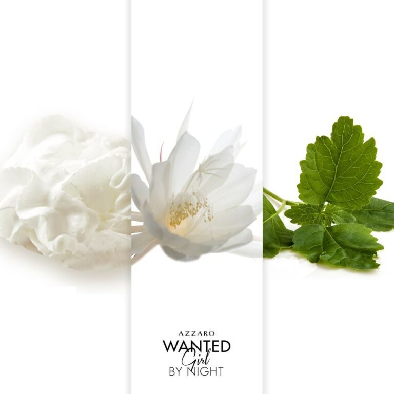 AZZARO | Wanted Girl by Night | Parfumerie MADO Réunion