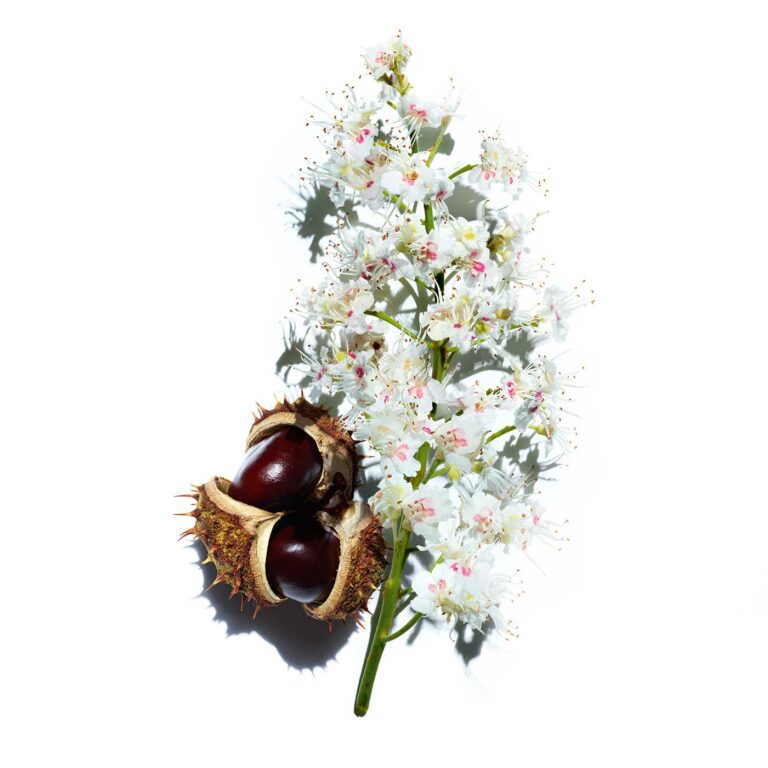 CLARINS | NUTRI-LUMIERE | JOUR | EMULSION | MADO PARFUMERIE REUNION