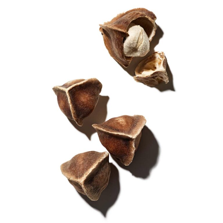 CLARINS I MY CLARINS I RE-MOVE POUDRE EXFOLIANTE ÉCLAT I MADO PARFUMERIE RÉUNION