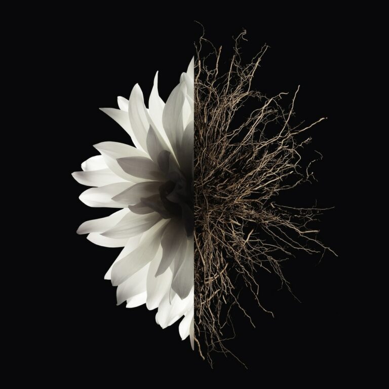 GIVENCHY | Eau de Parfum Femme | Parfumerie MADO Réunion