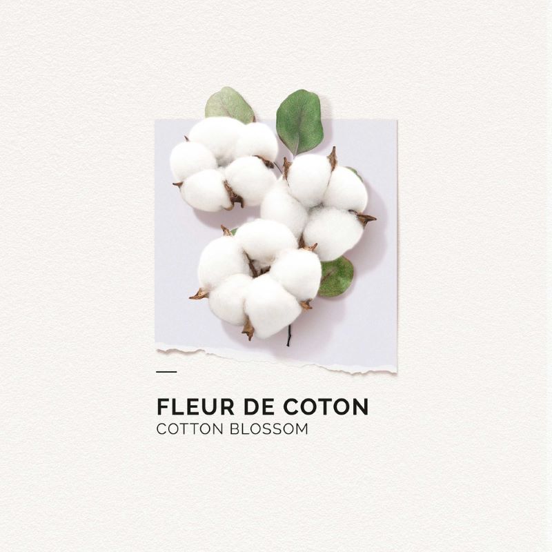 SOLINOTES | EAU DE PARFUM | FLEUR DE COTON | FRAGANCE FRAÎCHE ET AROMATIQUE | UNE NOTE COCOONING | MADO PARFUMERIE REUNION