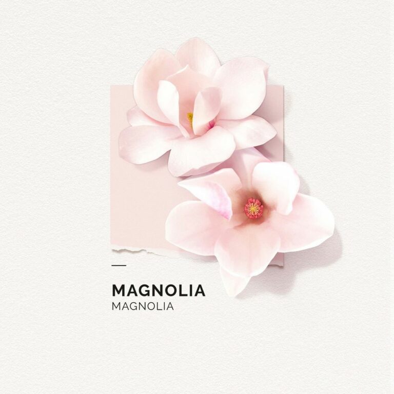 SOLINOTES | BRUME PARFUMEE | MAGNOLIA | FRAGANCE POUR CHEVEUX ET CORPS | MADO PARFUMERIE REUNION