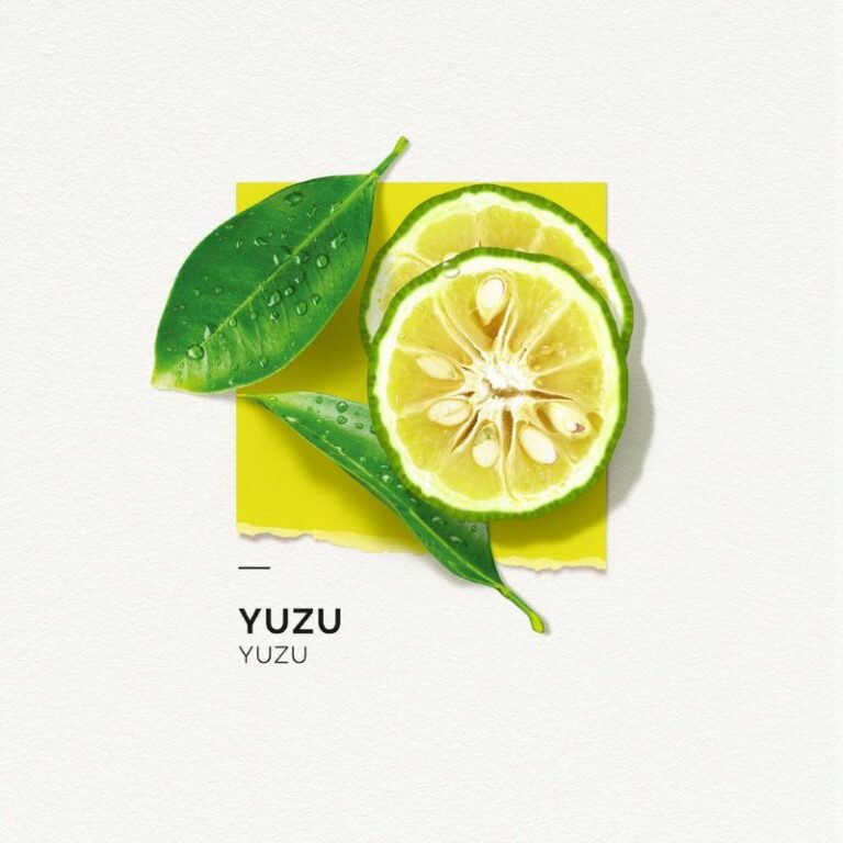 SOLINOTES | EAU DE PARFUM | YUZU | FRAGANCE FRAÎCHE | UN CARACTERE ELEGANT | MADO PARFUMERIE REUNION