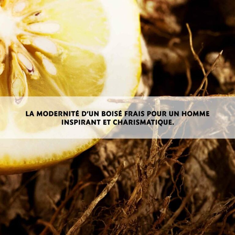 YVES SAINT LAURENT | L'HOMME | POUR UN HOMME CHARISMATIQUE ET MODERNE | MADO PARFUMERIE REUNION