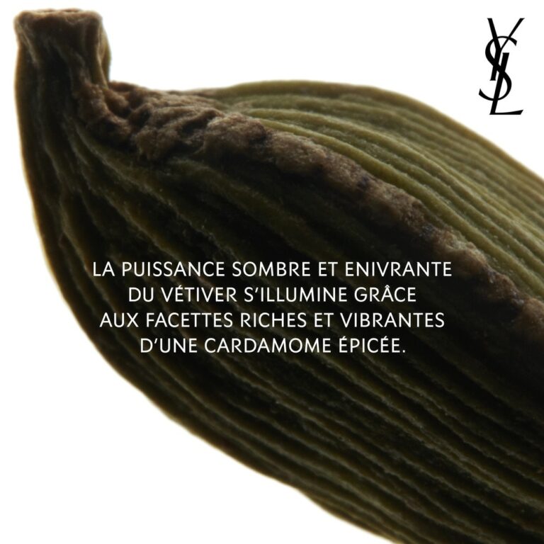 YVES SAINT LAURENT | LA NUIT DE L'HOMME | PARFUM | ORIENTAL BOISE MADO PARFUMERIE REUNION