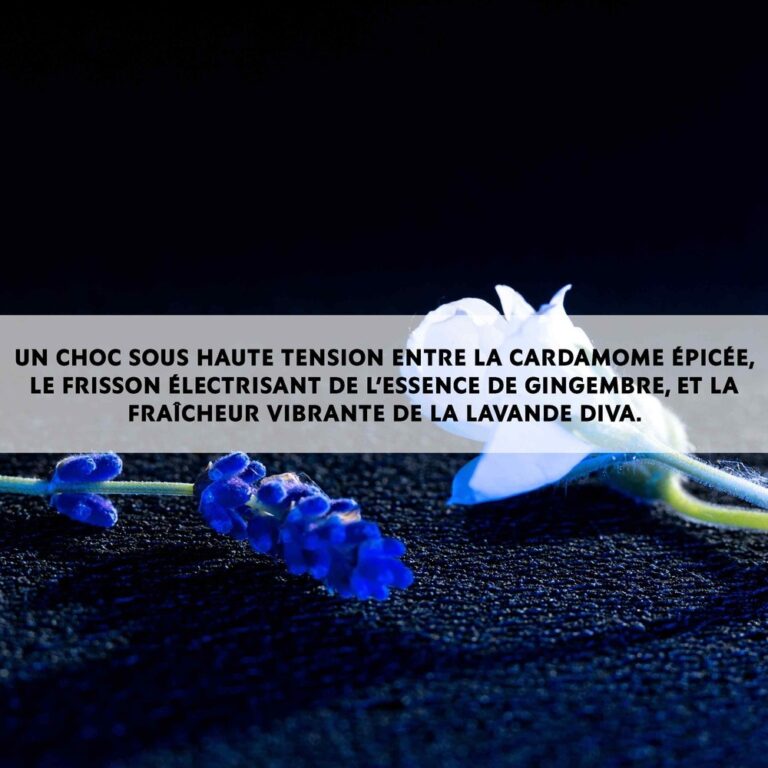 YVES SAINT LAURENT | LA NUIT DE L'HOMME | BLEU ELECTRIQUE | EAU DE TOILETTE | HOMME | MADO PARFUMERIE RÉUNION