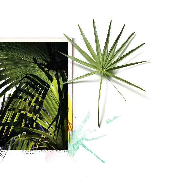 ORIGINS | ZERO OIL | TONIQUE PURIFIANT | SOIN VISAGE | MADO PARFUMERIE RÉUNION