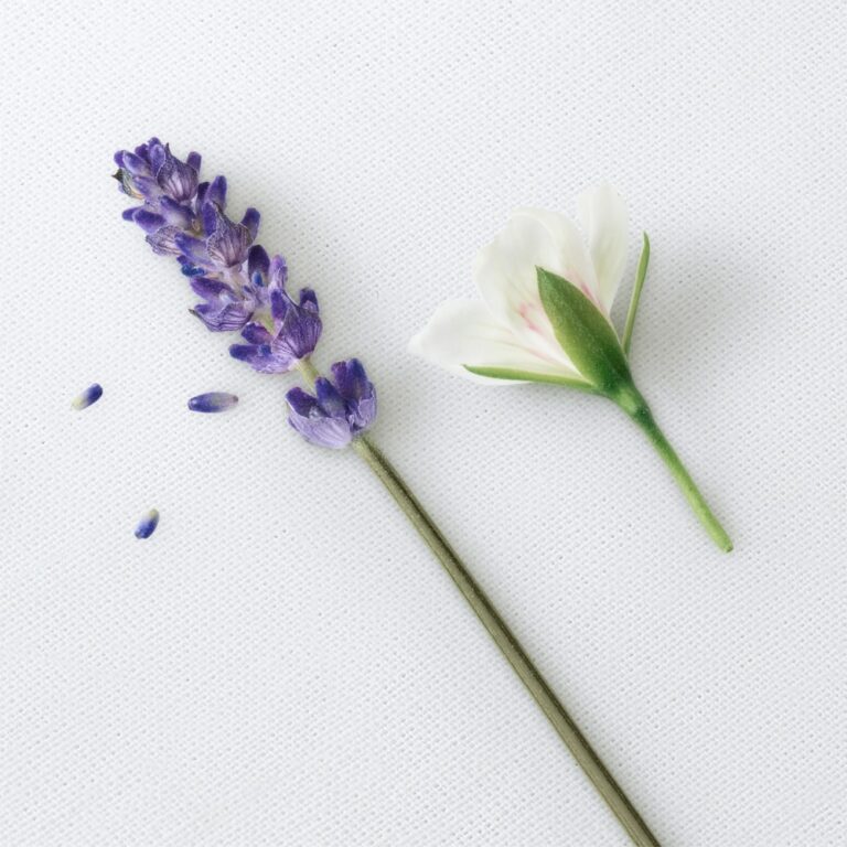 Giorgio Armani | Stronger with you Only | EDT | MADO Réunion