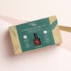 Coffret Le Premier Semi-Permanent Clean Green Flash Dark Pansy Manucurist