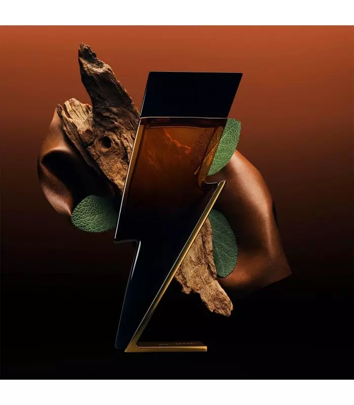 BAD BOY ELIXIR Eau de Parfum Elixir 50ML