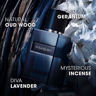 Y L'Elixir – Image 3