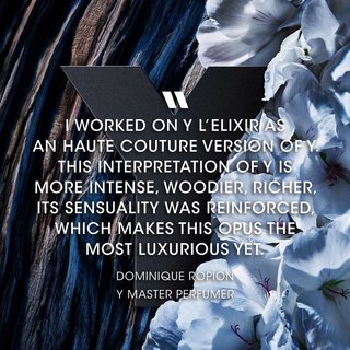 Y L'Elixir – Image 5