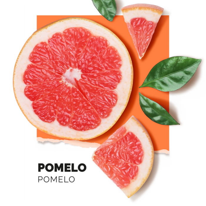 Eau de Parfum Pomelo - 15 ml – Image 2