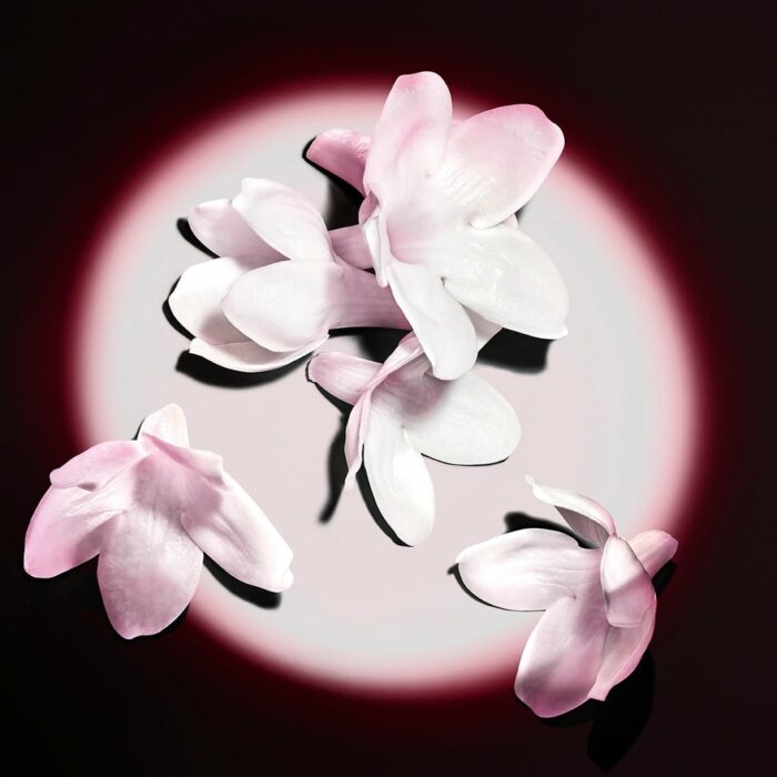 Black Opium Le Parfum – Image 4
