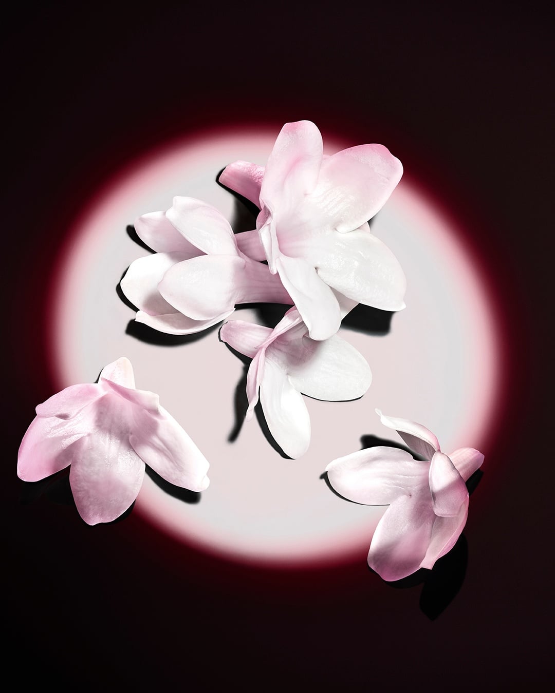 Black Opium Le Parfum – Image 4