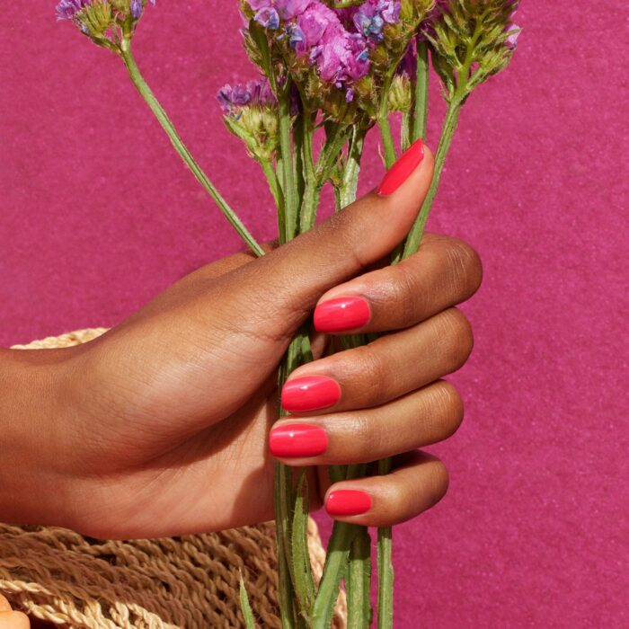 Vernis Green Flash Bougainvillea – Image 2