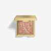 L'Orchidée Highlighter