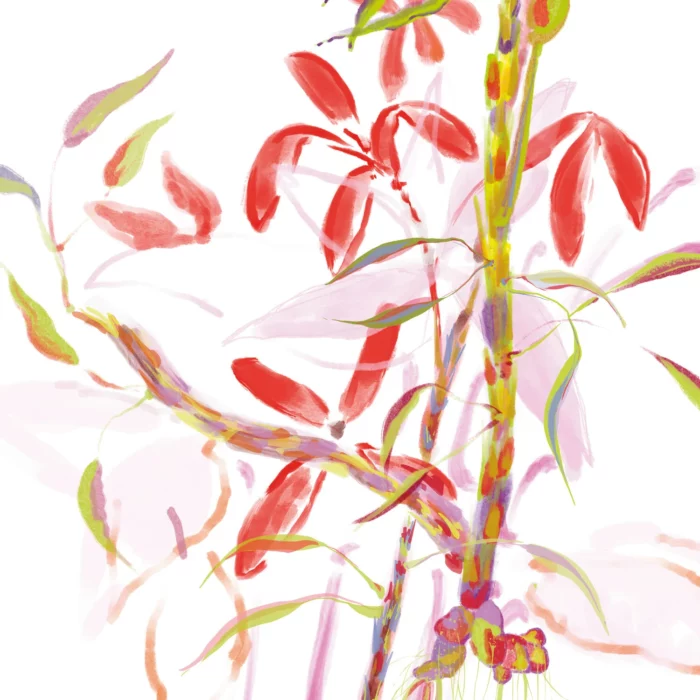 L'Eau Rêvée d'Aria – Image 3