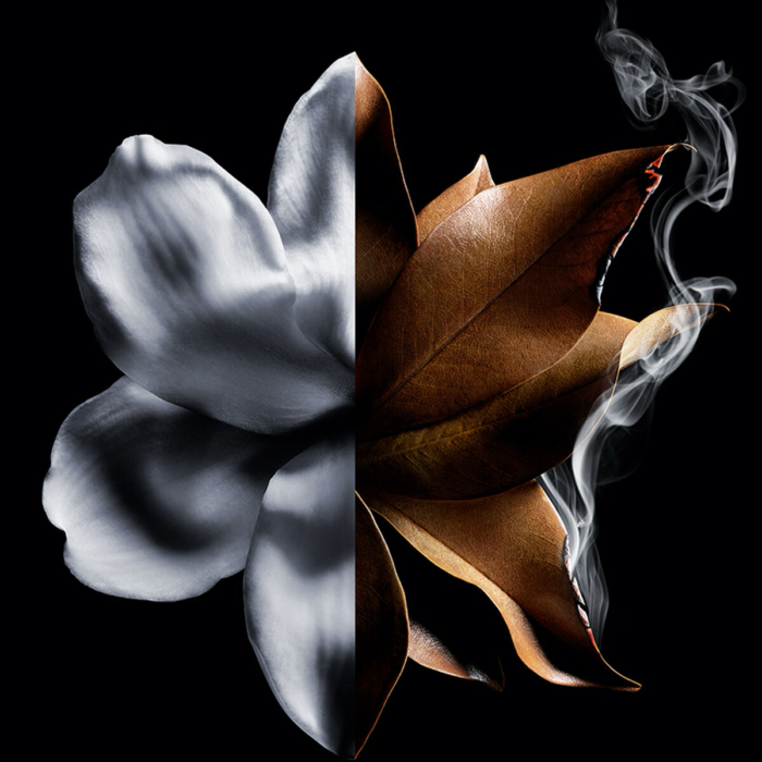 L'INTERDIT ABSOLU Eau de Parfum Intense – Image 2