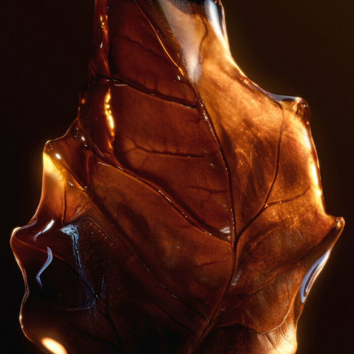 Vénus de Nina Ricci Eau de Parfum Intense – Image 3