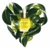 Coffret Soin Lissant Rides Fermeté ClarinsMen